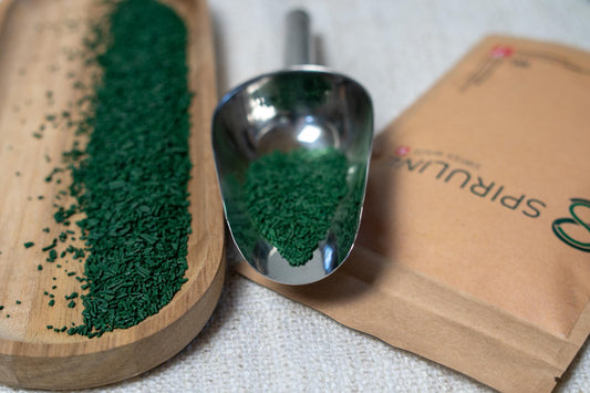 Spiruline artisanale suisse en paillettes 50g – séchée à basse température, sans additifs